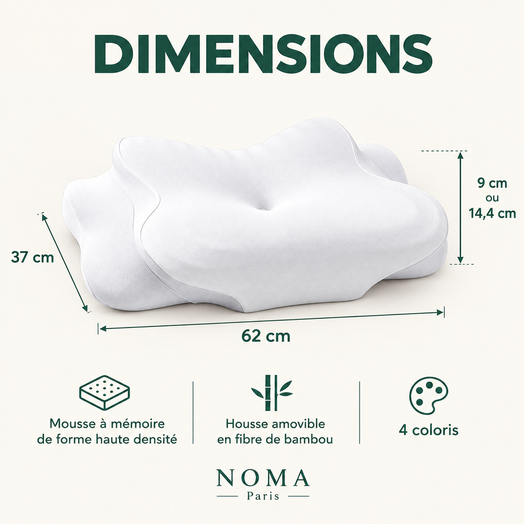 NOMA Paris - 3.0
