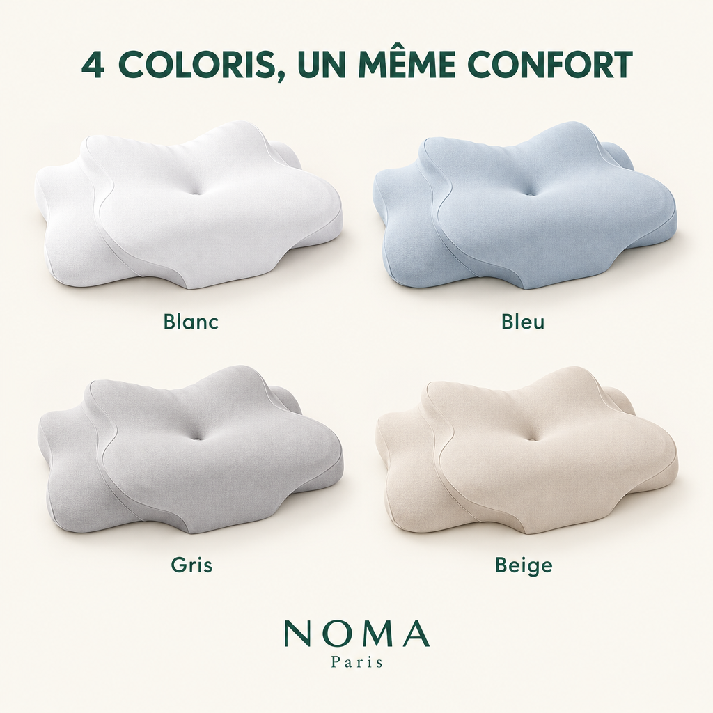 NOMA Paris - 3.0
